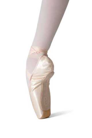 pointes MERLET ROSE